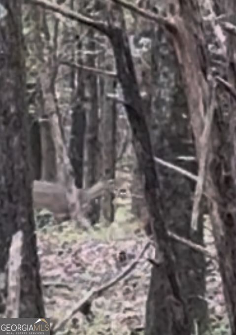 9992 Jefferson River RD