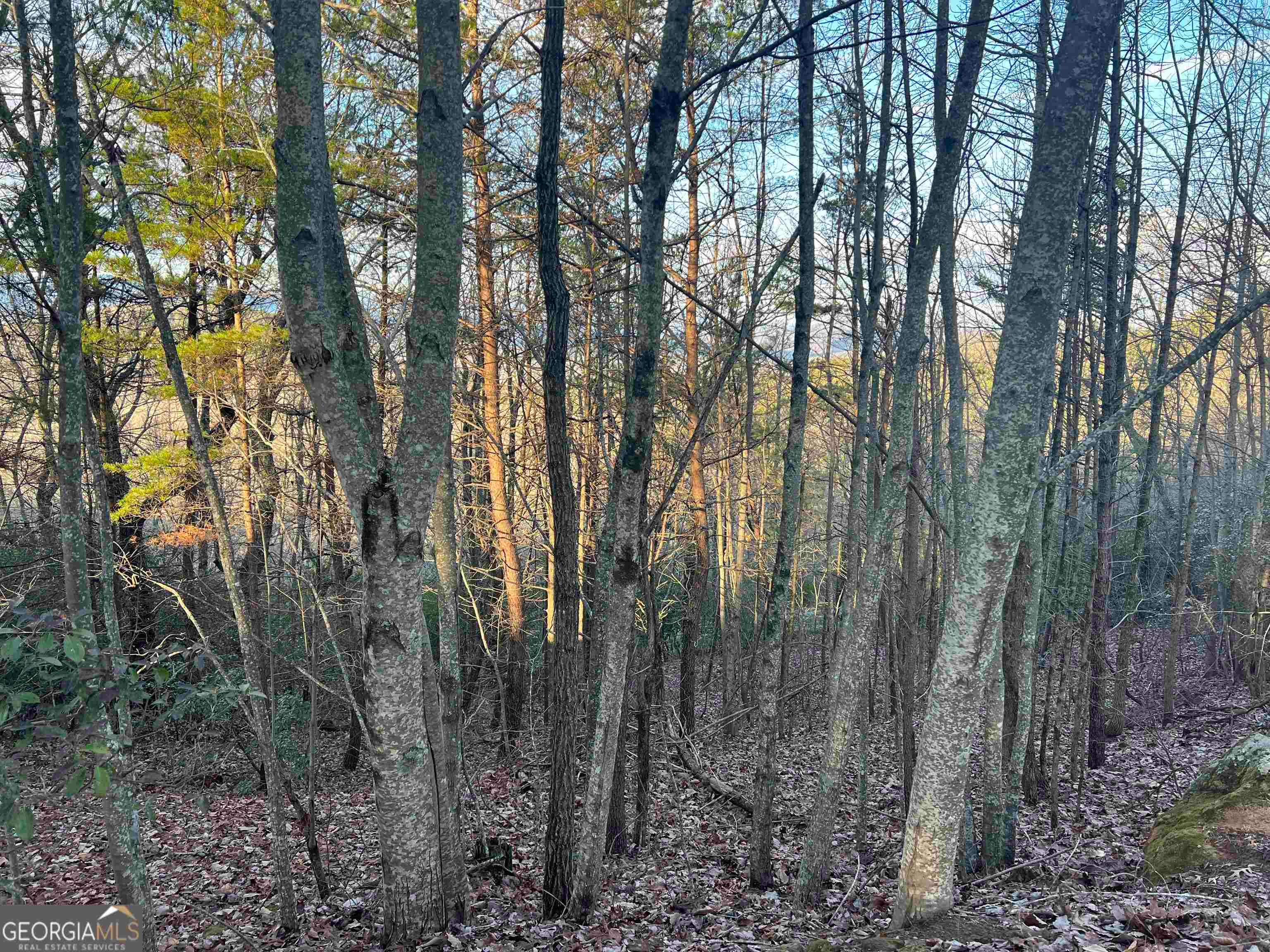 0 Daybreak RD