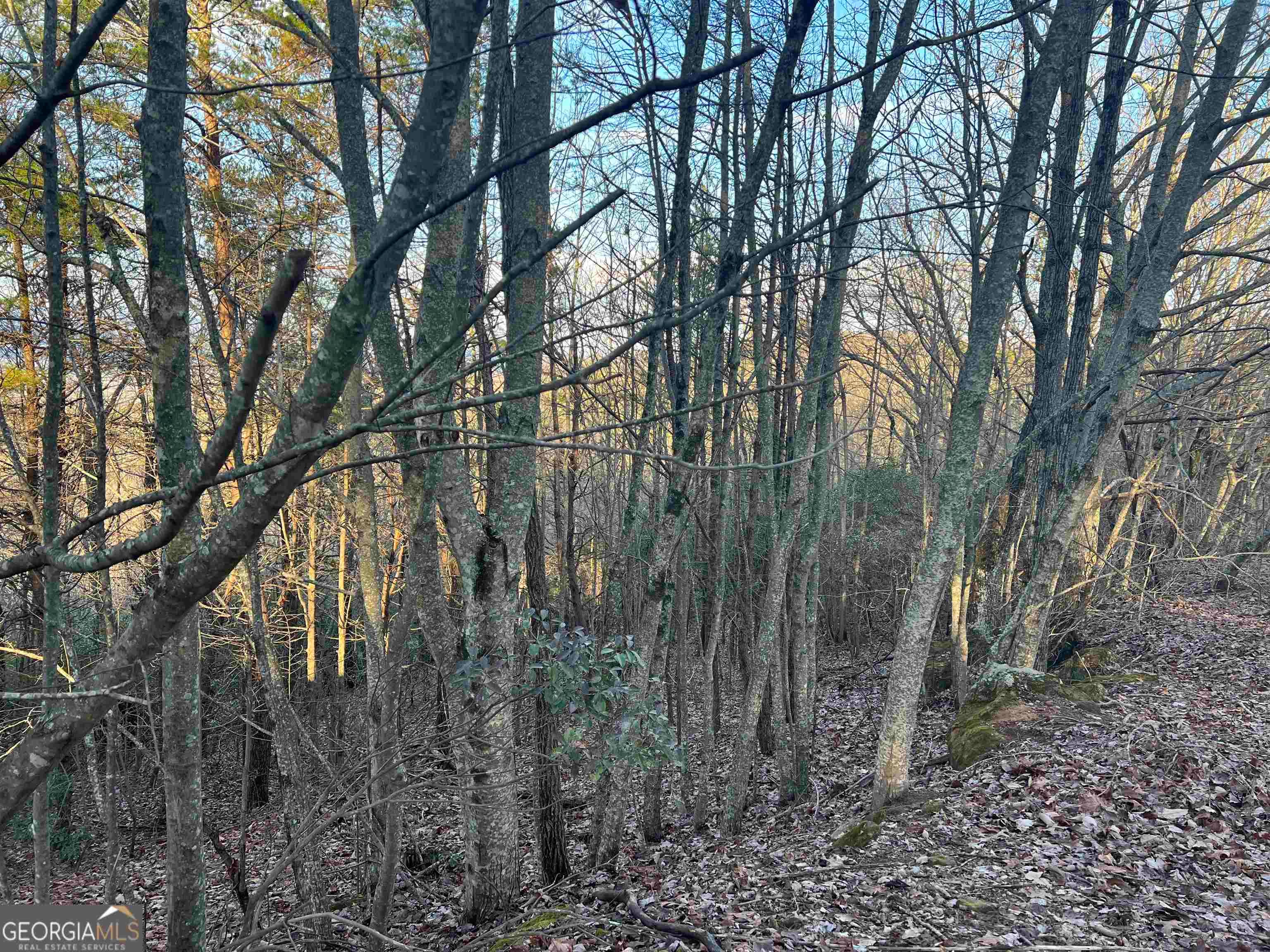 0 Daybreak RD