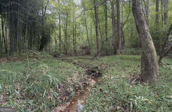 127 IKES CIR # 4, ELLIJAY, GA 30536 - Image a514edd18ef12d3b51c6edbab062ec9c/4088769510