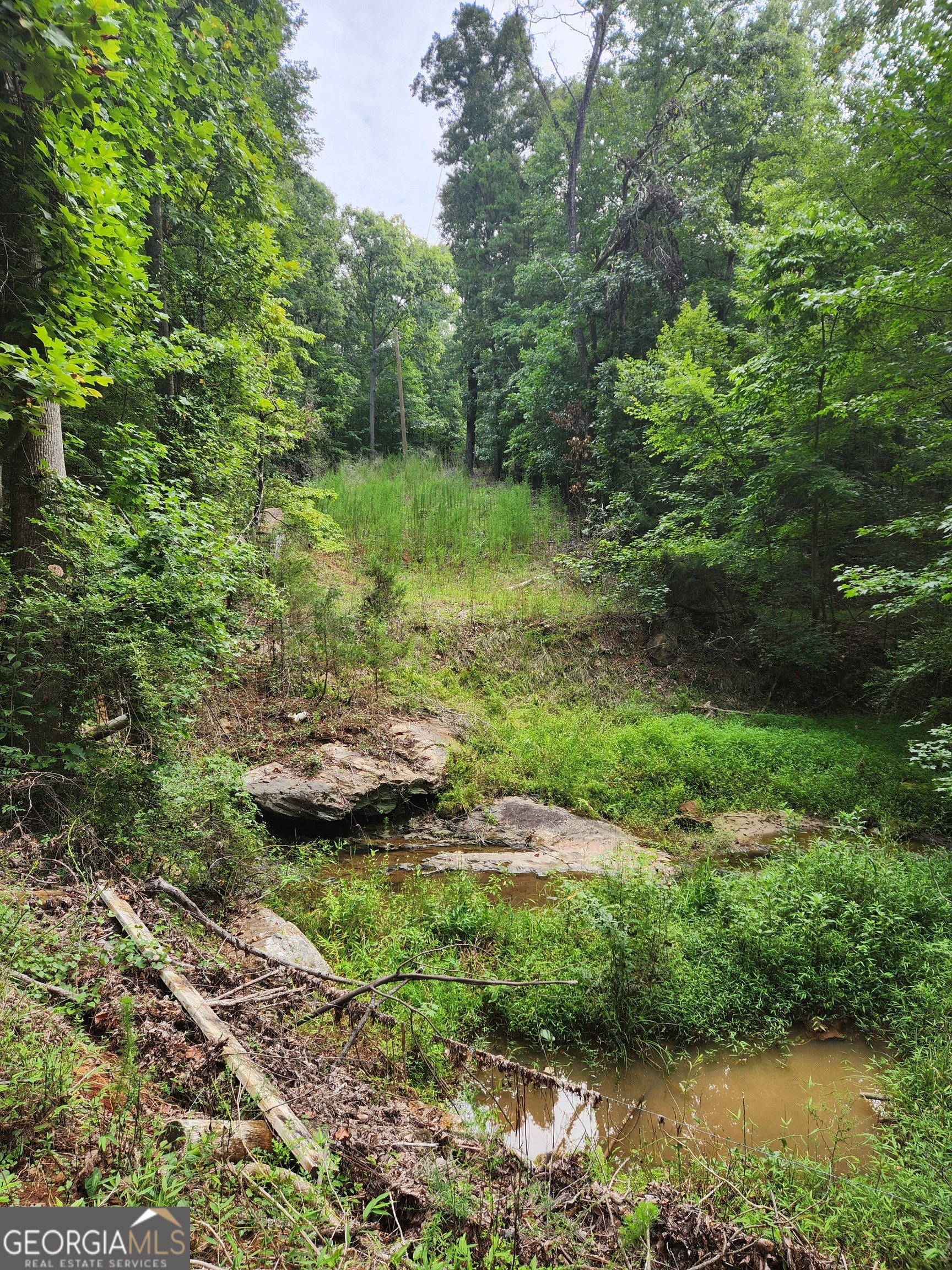 Danielsville, Georgia 30633, United States, ,Land,Pending,44726