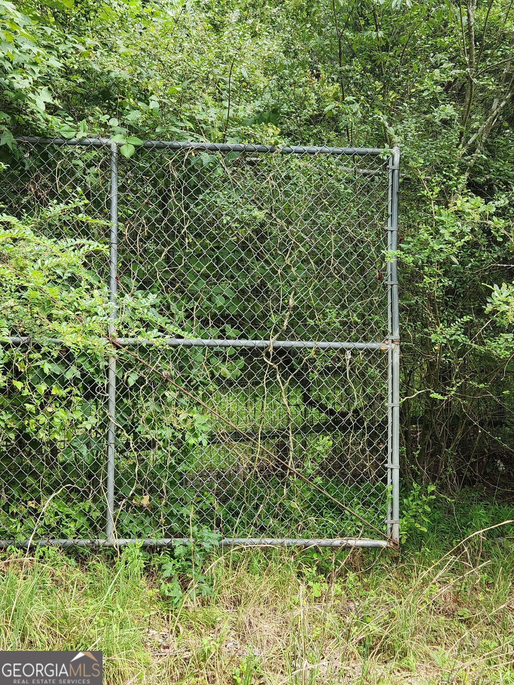 Danielsville, Georgia 30633, United States, ,Land,Pending,44726