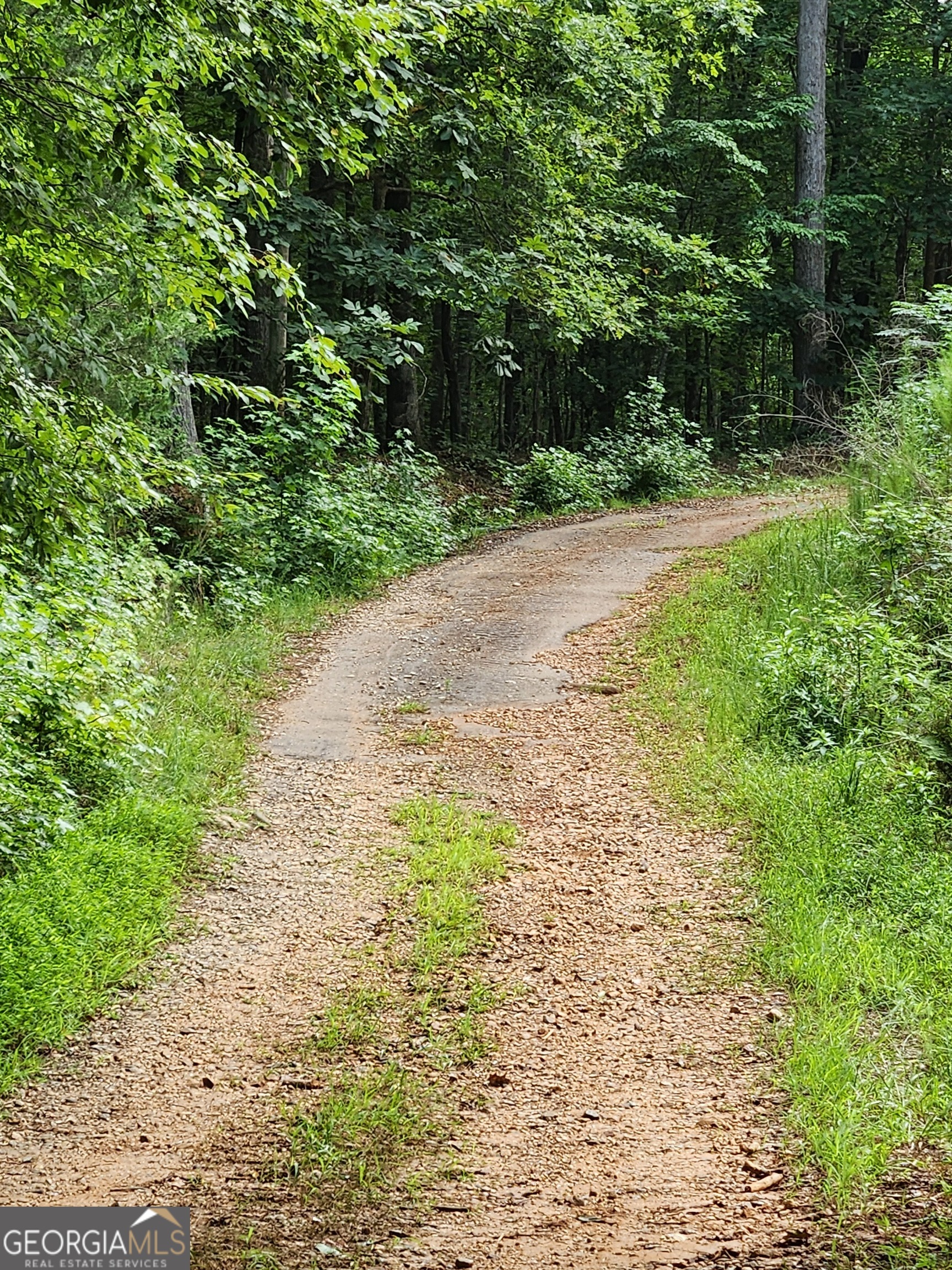 Danielsville, Georgia 30633, United States, ,Land,Pending,44726