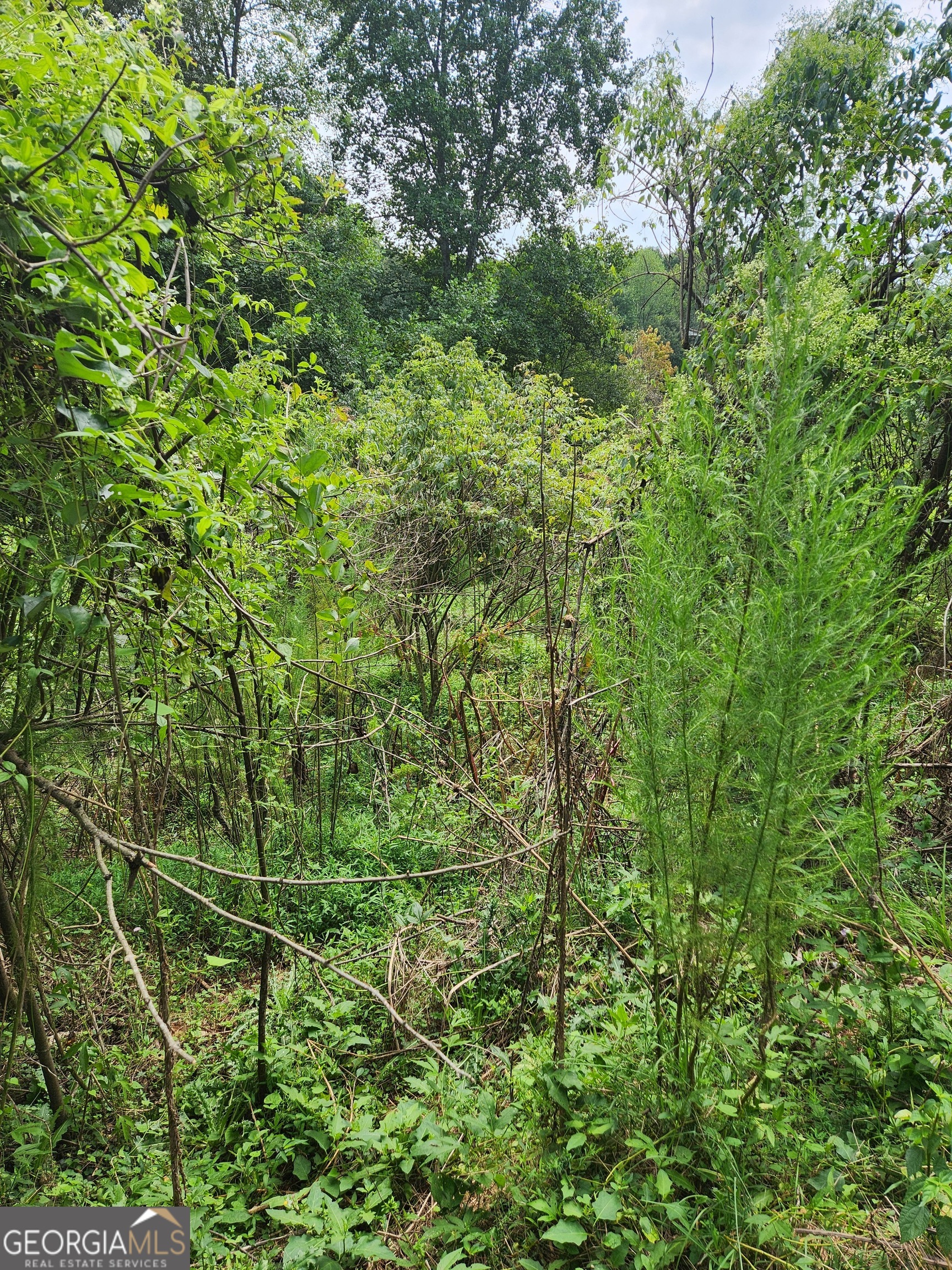 Danielsville, Georgia 30633, United States, ,Land,Pending,44726