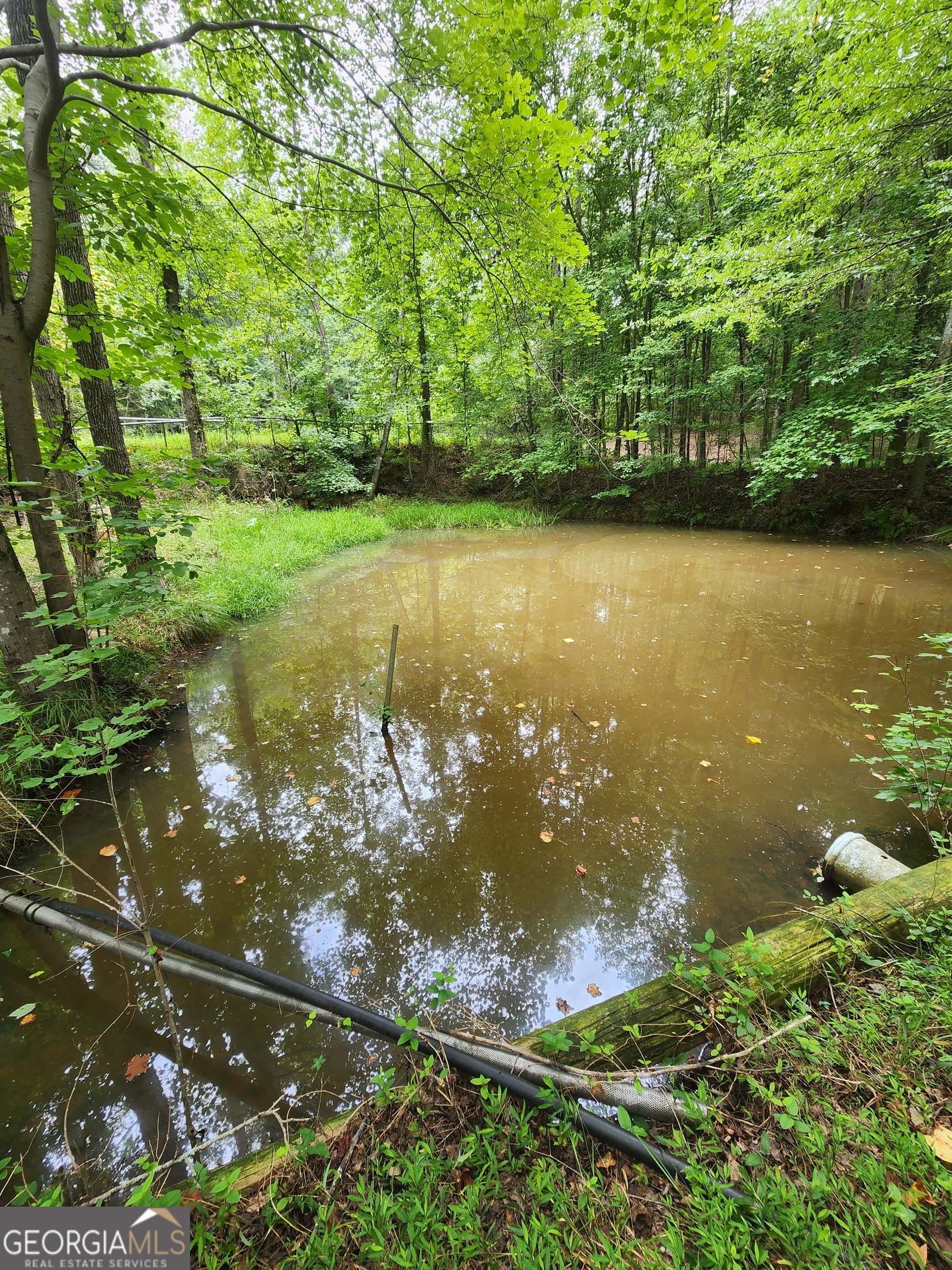 Danielsville, Georgia 30633, United States, ,Land,Pending,44726