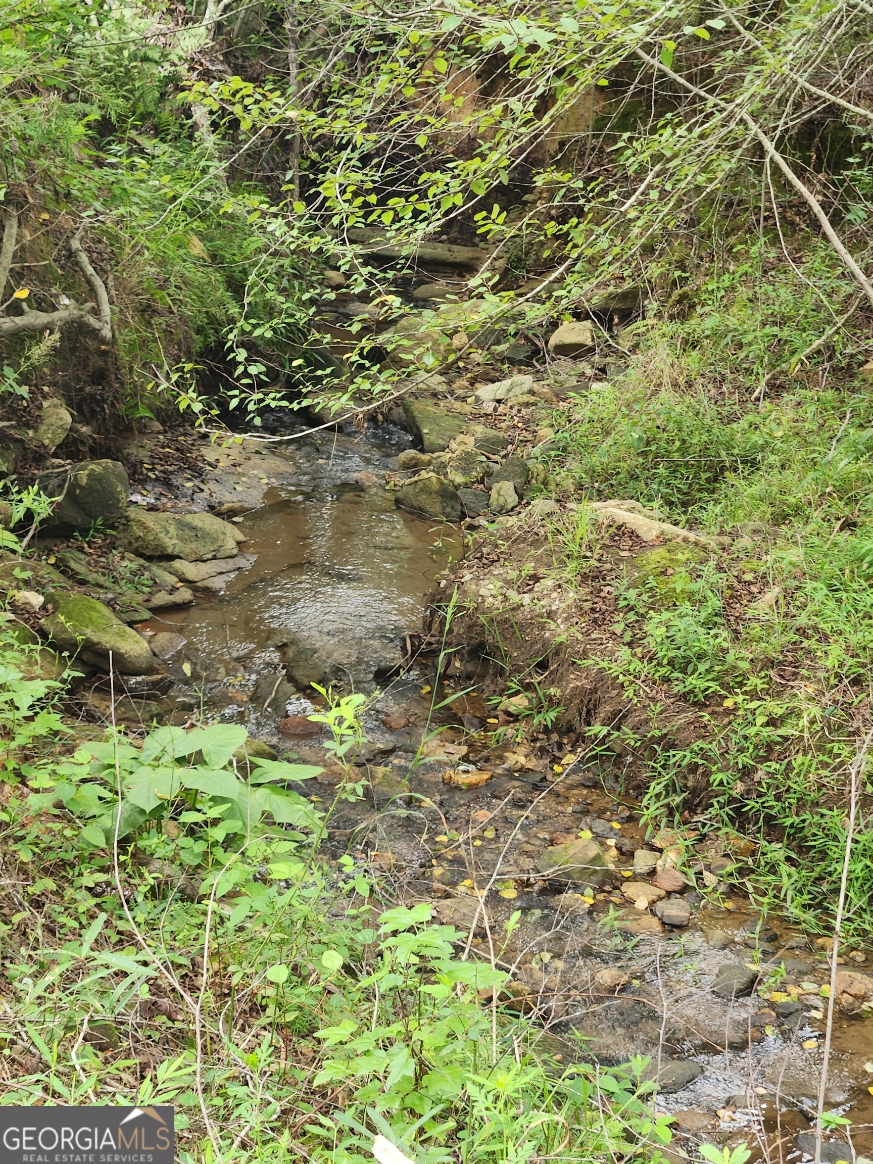 Danielsville, Georgia 30633, United States, ,Land,Pending,44726