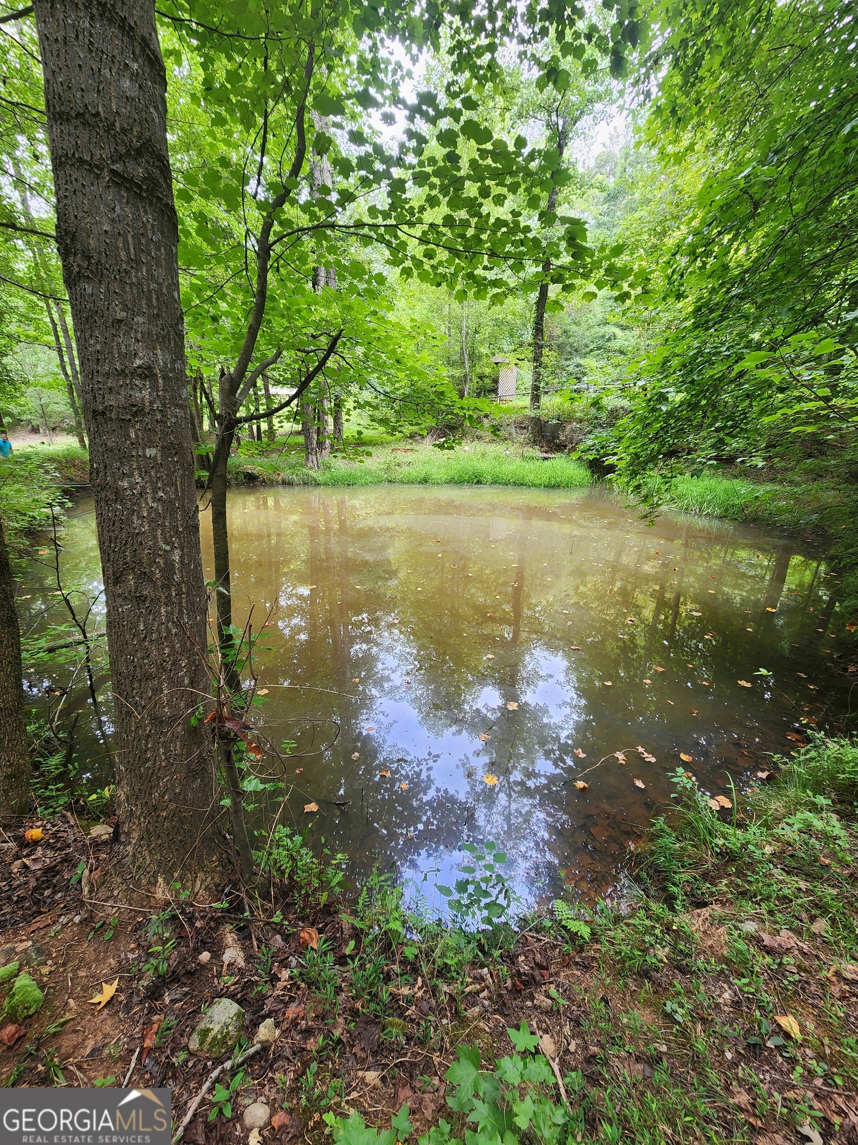 Danielsville, Georgia 30633, United States, ,Land,Pending,44726