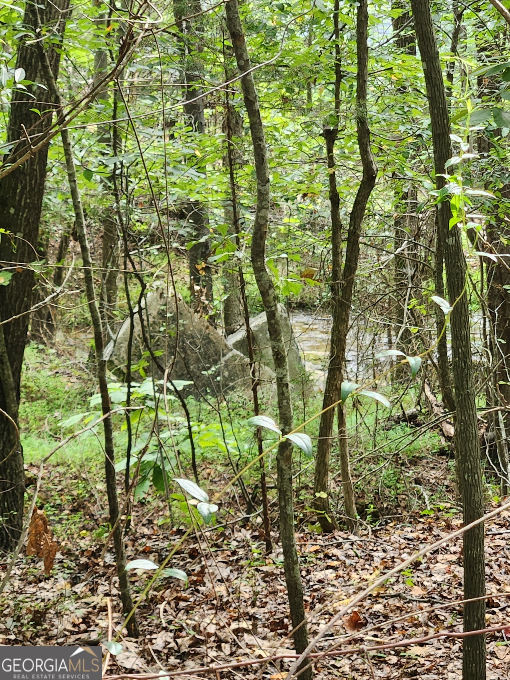 Danielsville, Georgia 30633, United States, ,Land,Pending,44726