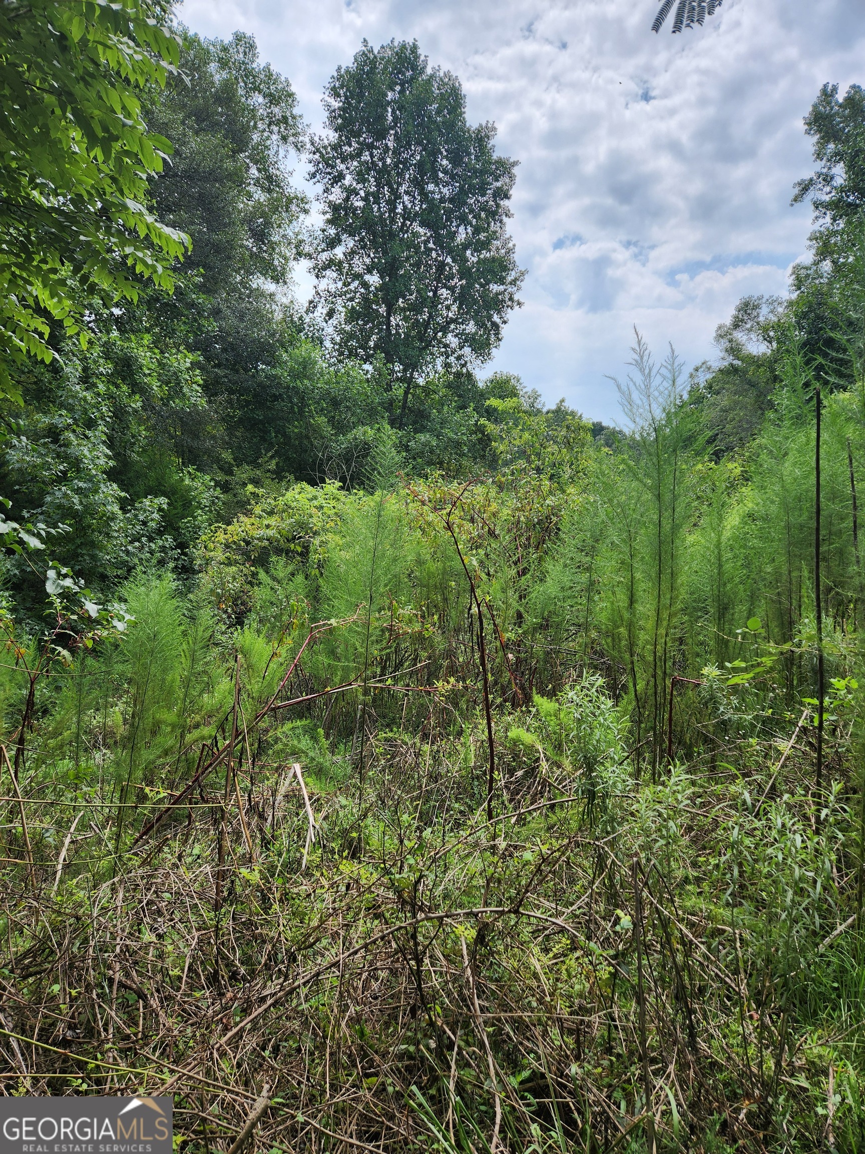 Danielsville, Georgia 30633, United States, ,Land,Pending,44726