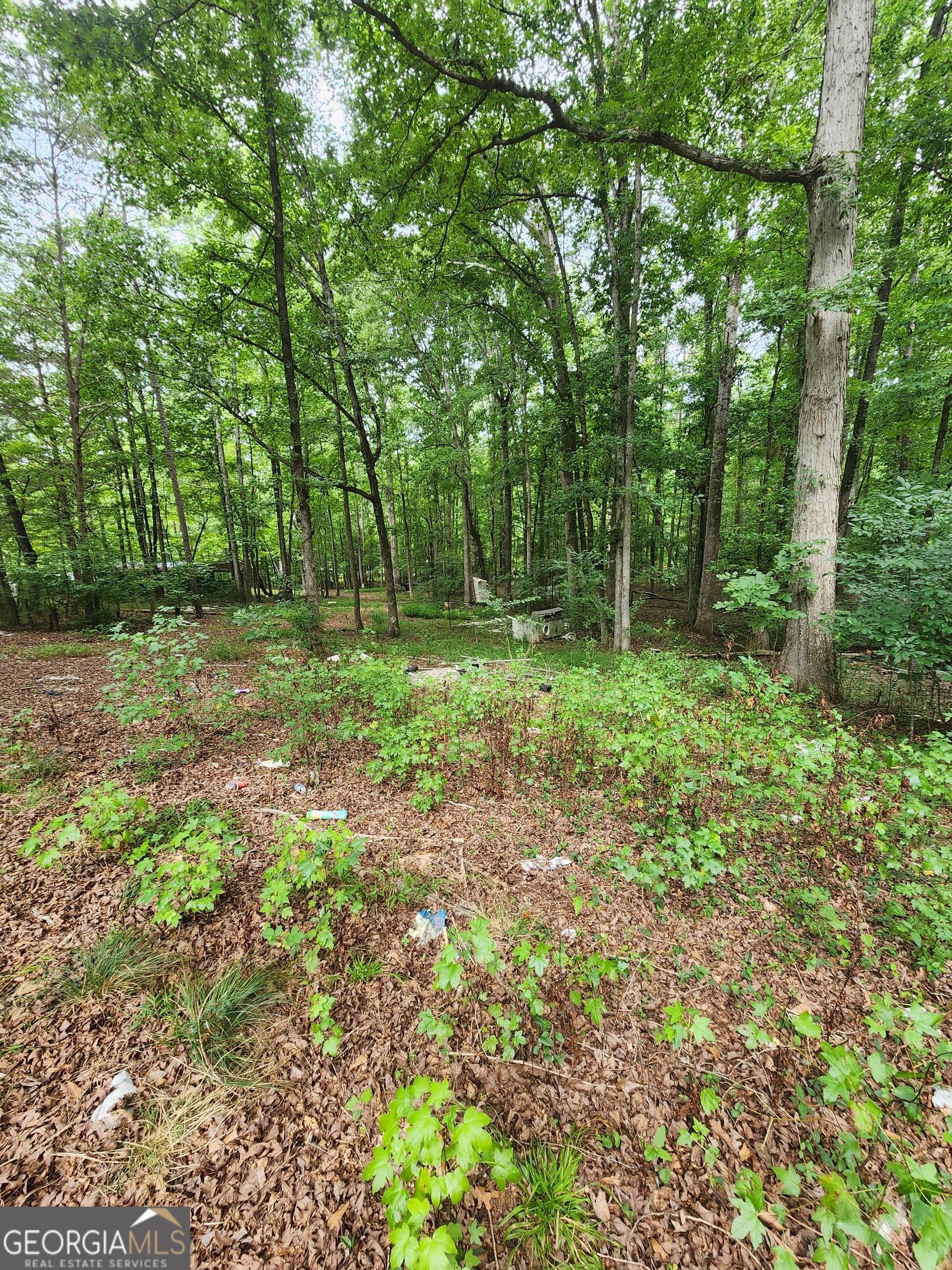 Danielsville, Georgia 30633, United States, ,Land,Pending,44726