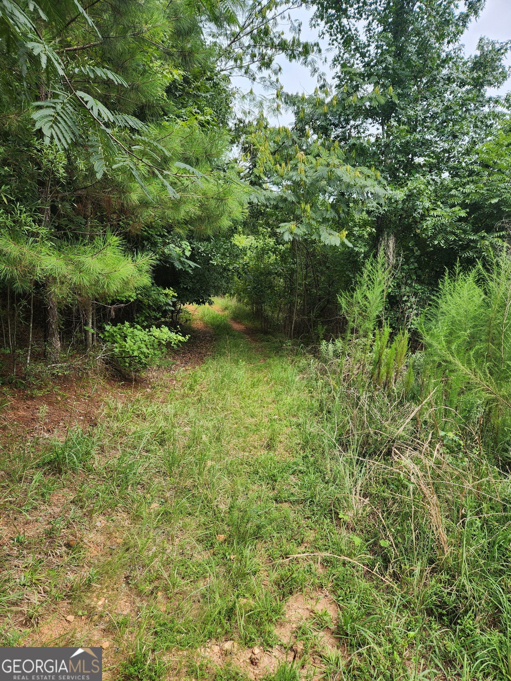 Danielsville, Georgia 30633, United States, ,Land,Pending,44726