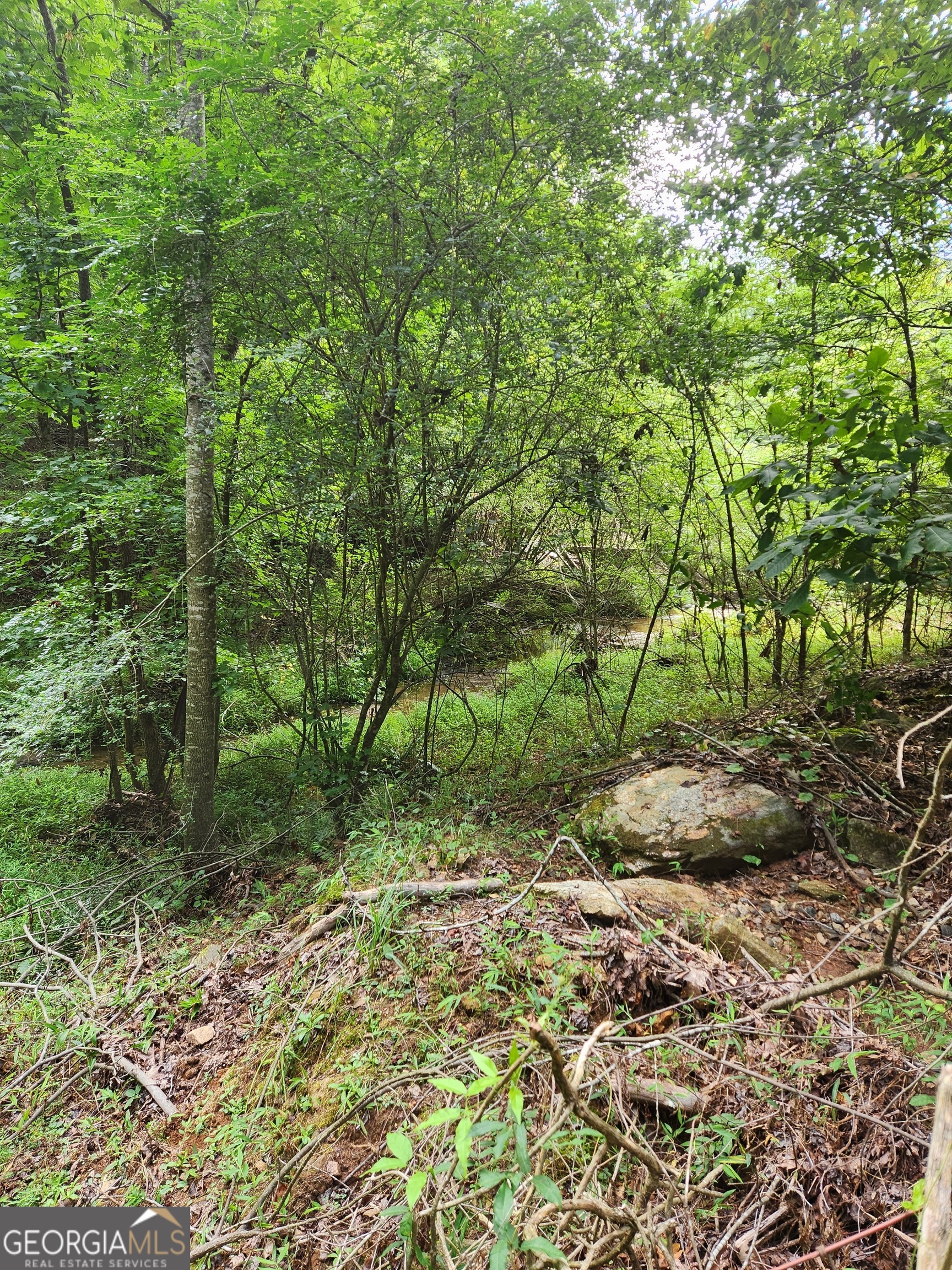 Danielsville, Georgia 30633, United States, ,Land,Pending,44726