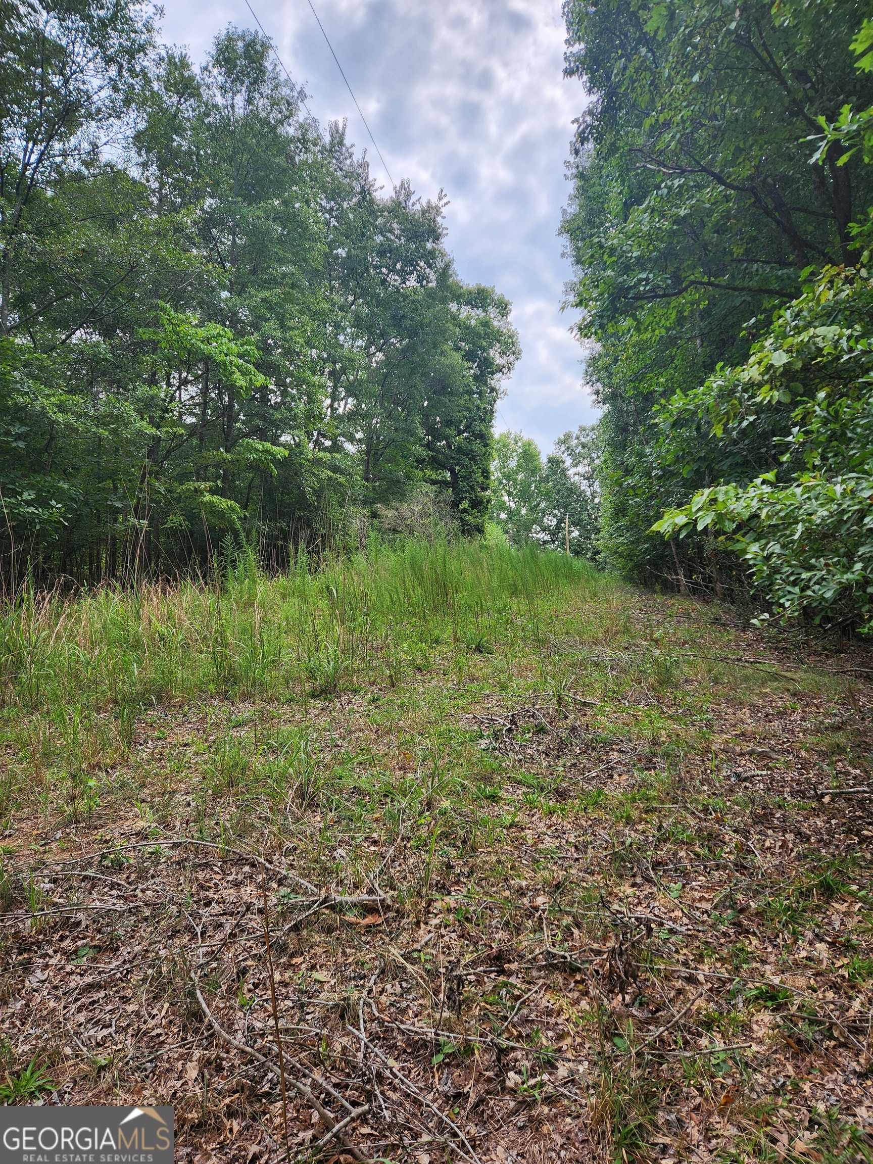 Danielsville, Georgia 30633, United States, ,Land,Pending,44726