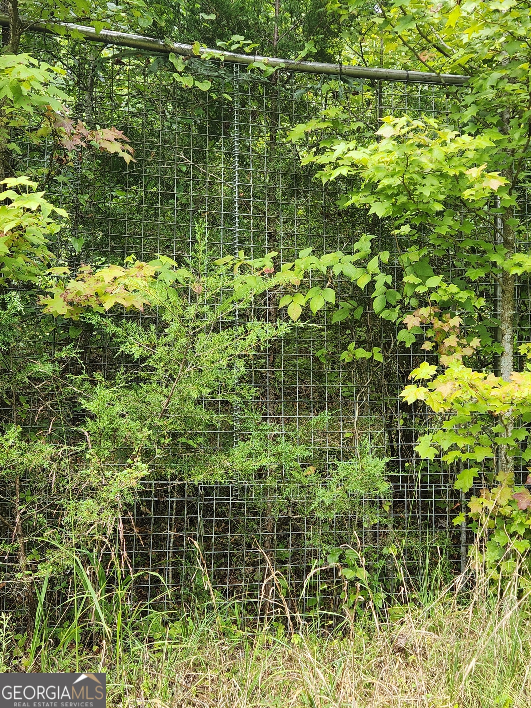 Danielsville, Georgia 30633, United States, ,Land,Pending,44726