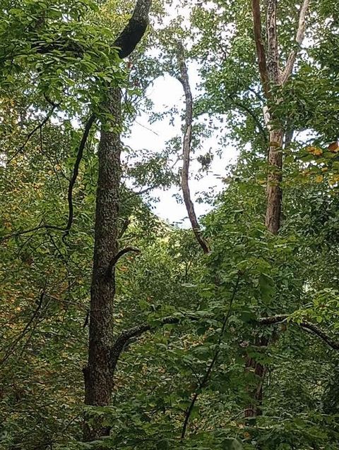 0 Ridgepole LOT 40 Sky Valley GA 30537