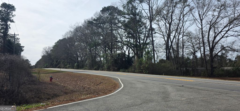 Photo of 0000 Highway 247, Kathleen, GA 31047 (MLS # 10670745)