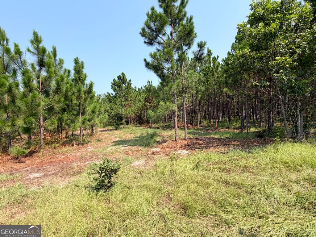 Photo of 0 Erick Rd, Alamo, GA 30411 (MLS # 10881429)