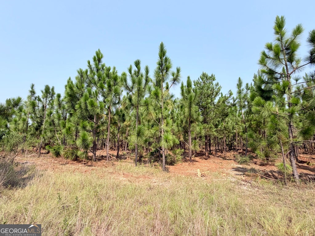 Photo of 0 Erick Rd, Alamo, GA 30411 (MLS # 10881429)