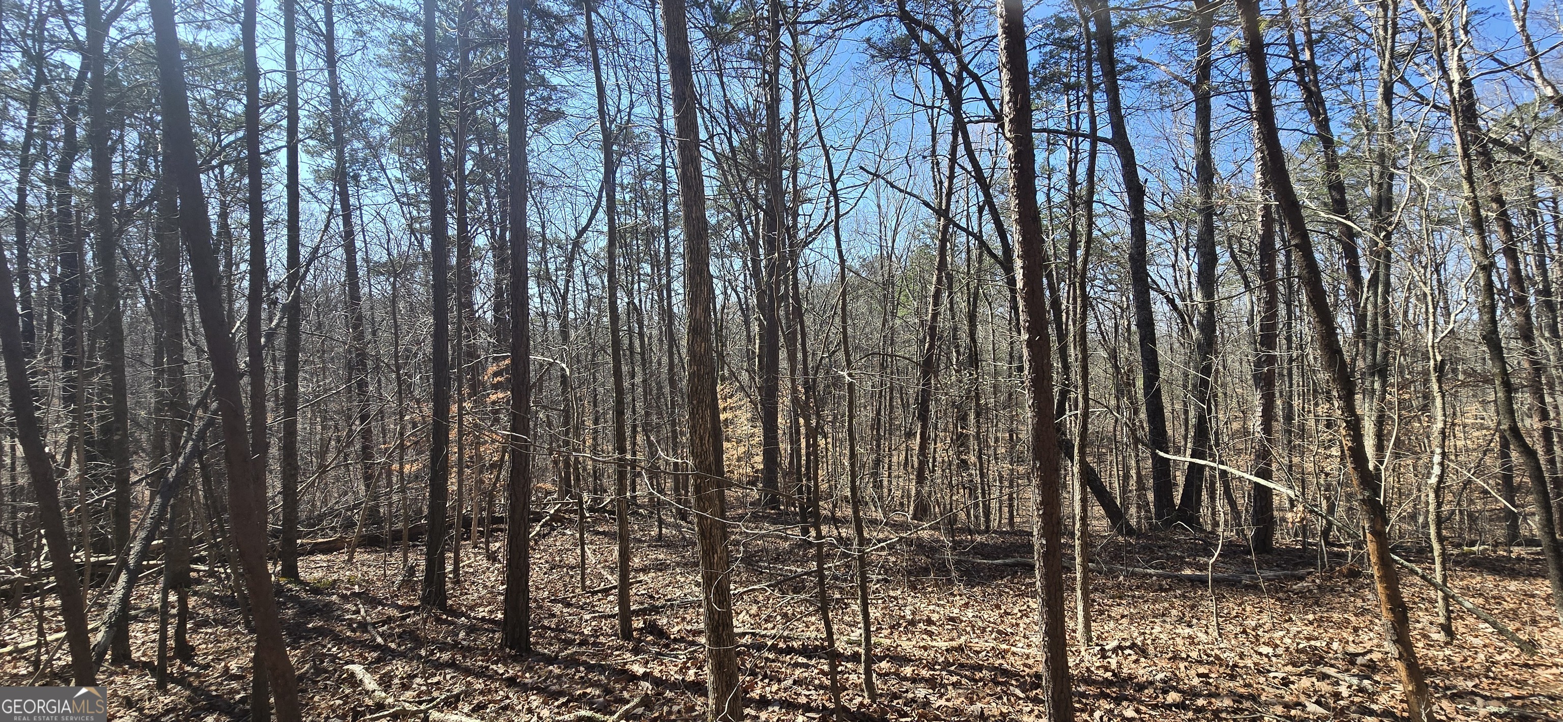 TRACT 2 Friendship TRL