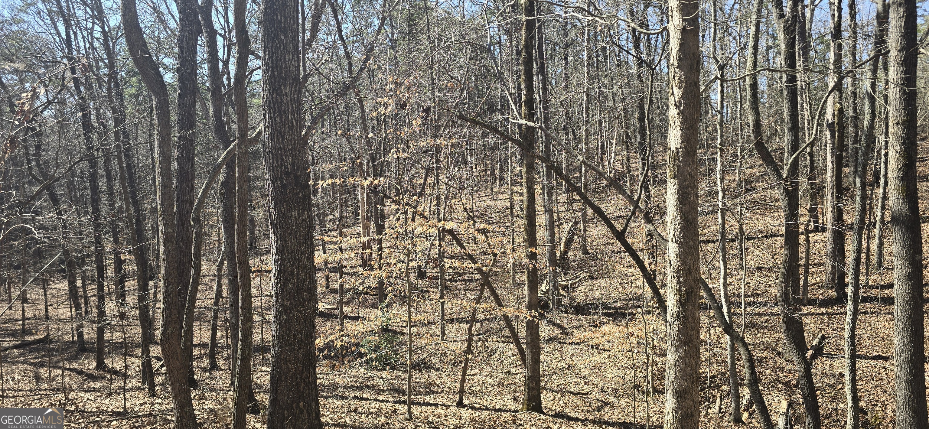 TRACT 2 Friendship TRL