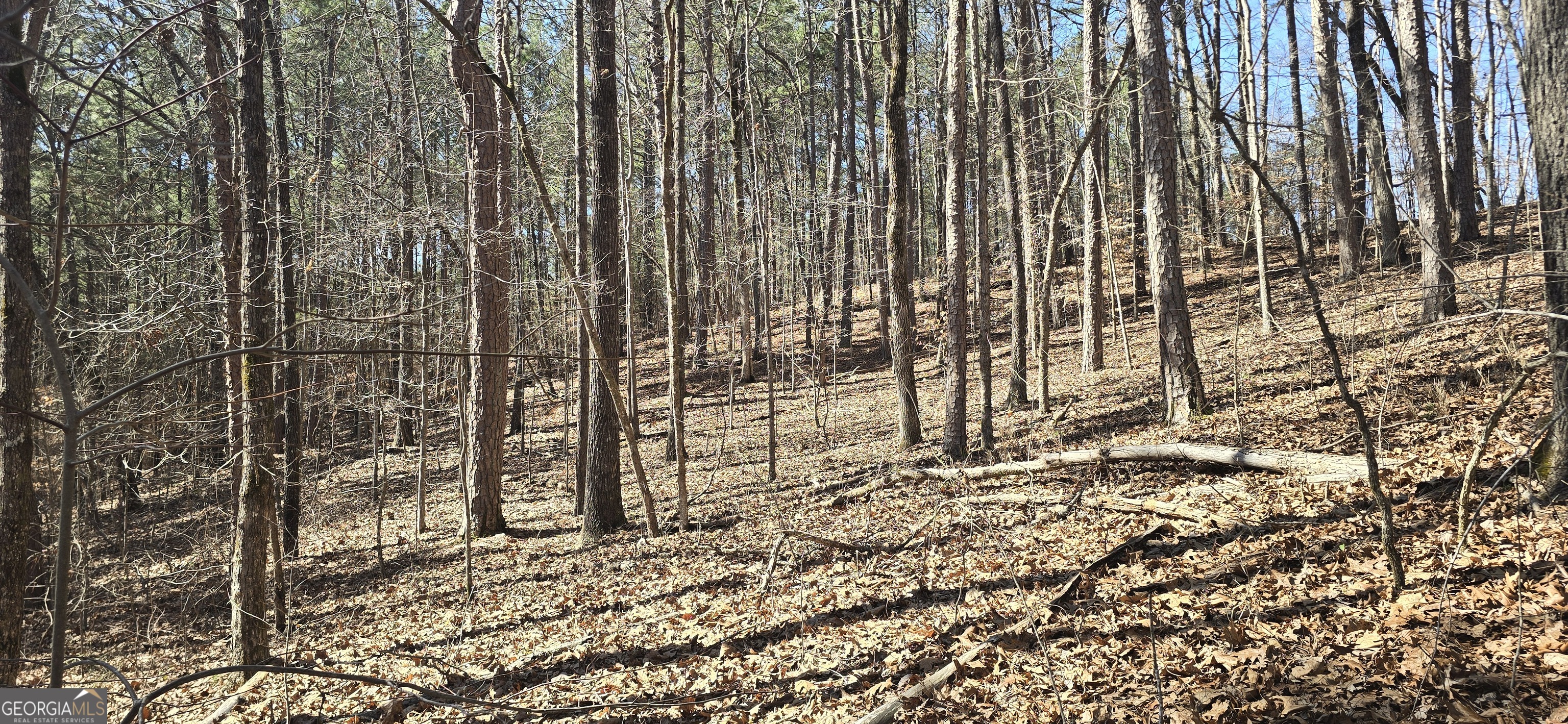 TRACT 2 Friendship TRL