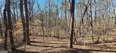 TRACT 2 Friendship TRL Talking Rock GA 30175