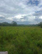 729 Taylor Town RD NE