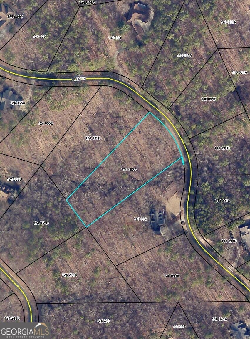 Photo of 736 Plum Lane, Clarksville, GA 30523 (MLS # 10823473)