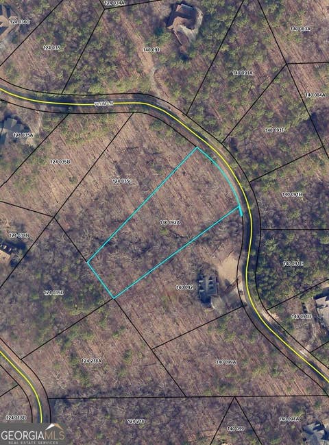 Photo of 736 Plum Lane, Clarkesville, GA 30523 (MLS # 10823473)