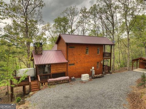 A home in Mineral Bluff