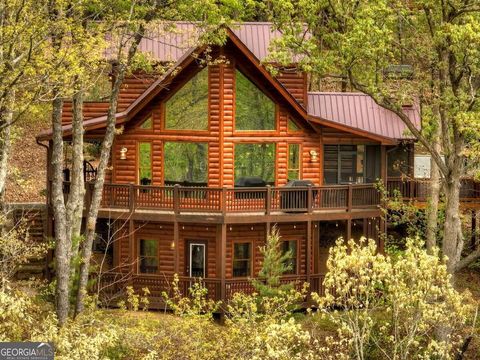 A home in Mineral Bluff