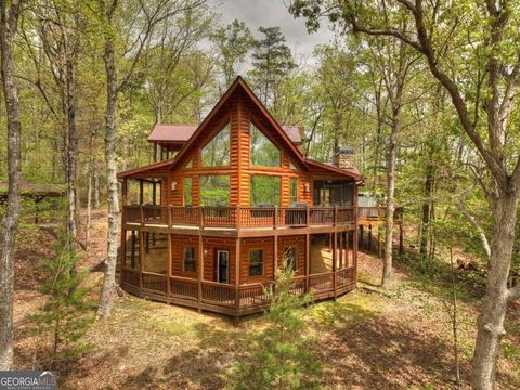 A home in Mineral Bluff