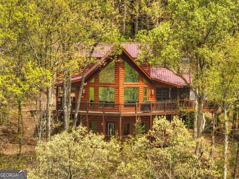 A home in Mineral Bluff