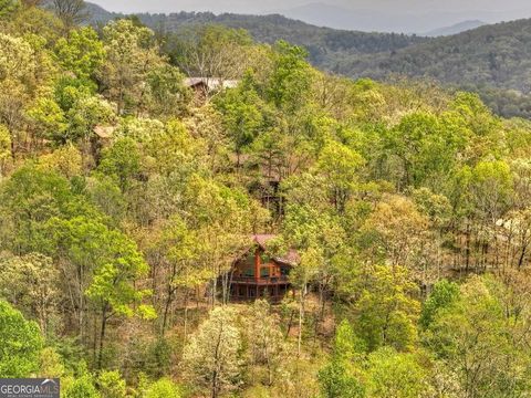 A home in Mineral Bluff