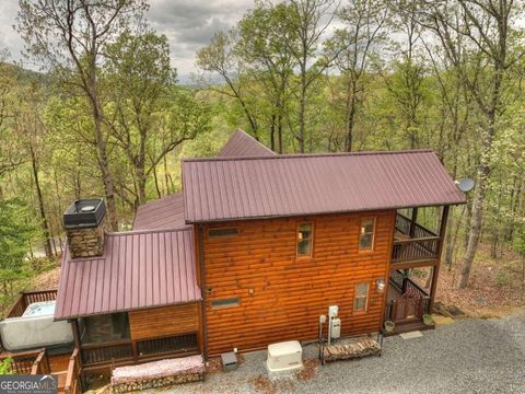 A home in Mineral Bluff