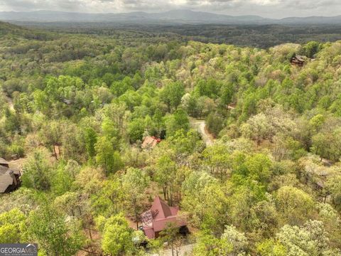 A home in Mineral Bluff