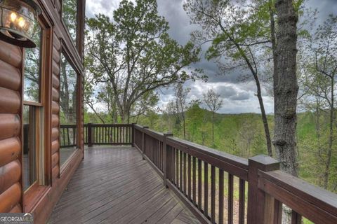 A home in Mineral Bluff