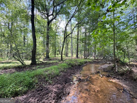 Photo of 0 Wooten Road, Cuthbert, GA 39840 (MLS # 10802527)