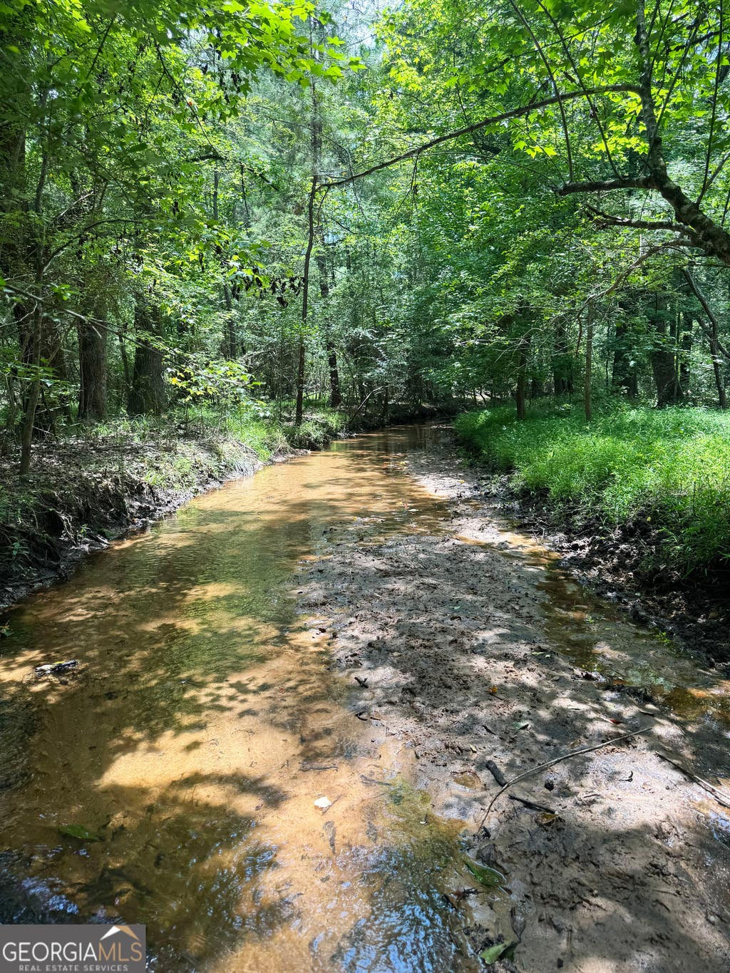 Photo of TBD Wooten Road, Cuthbert, GA 39840 (MLS # 10802527)