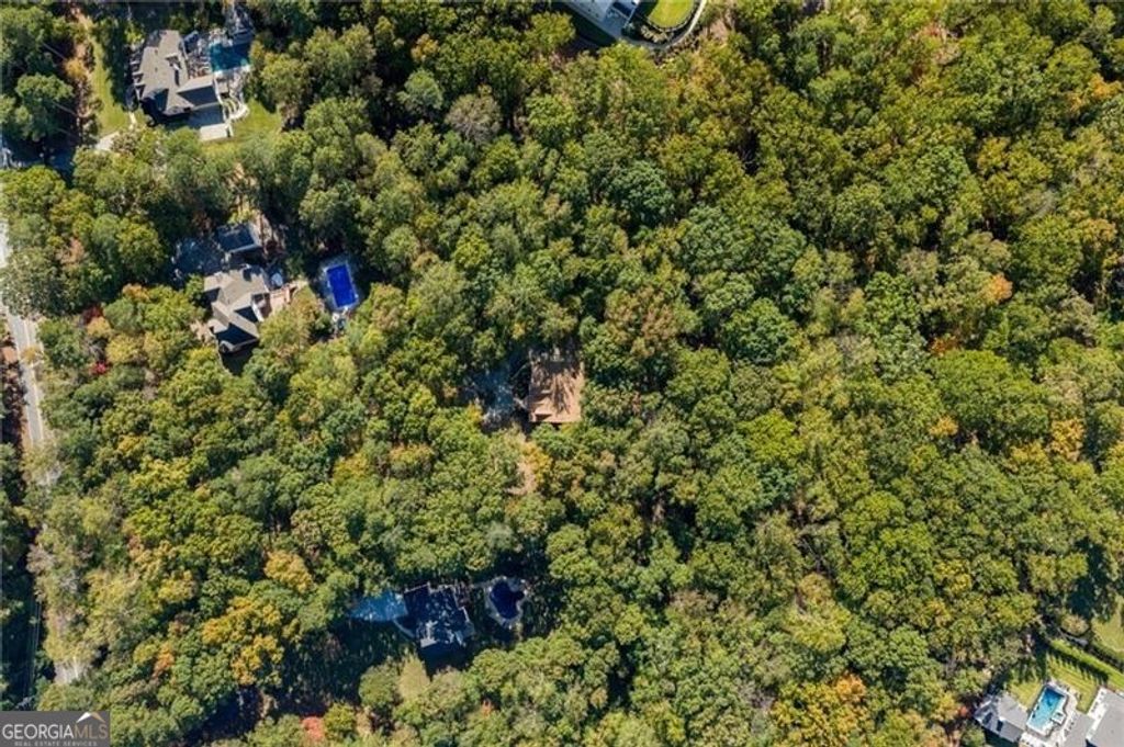 Photo of 16218 Henderson Road, Milton, GA 30004 (MLS # 10631412)
