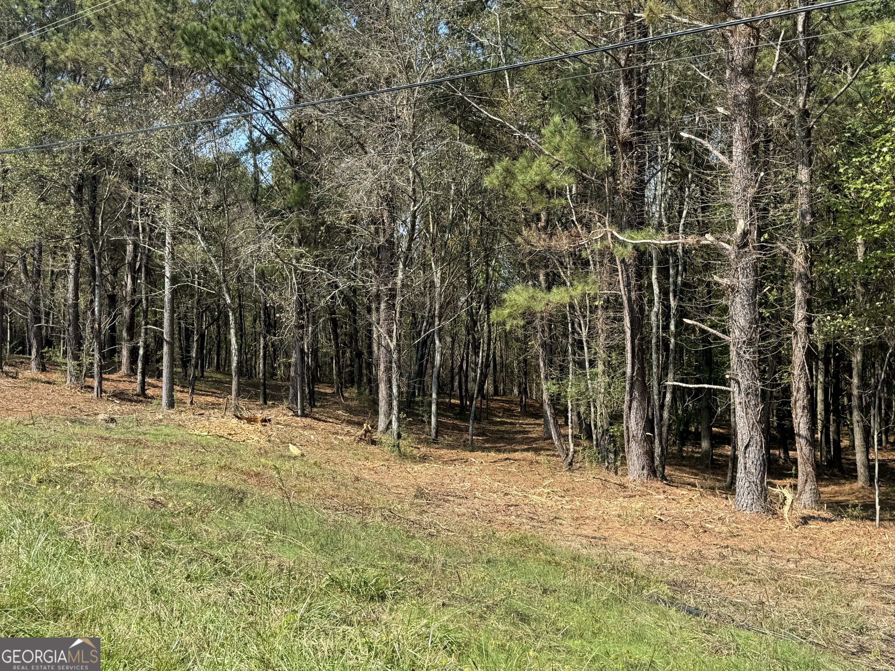 800 Browing RD