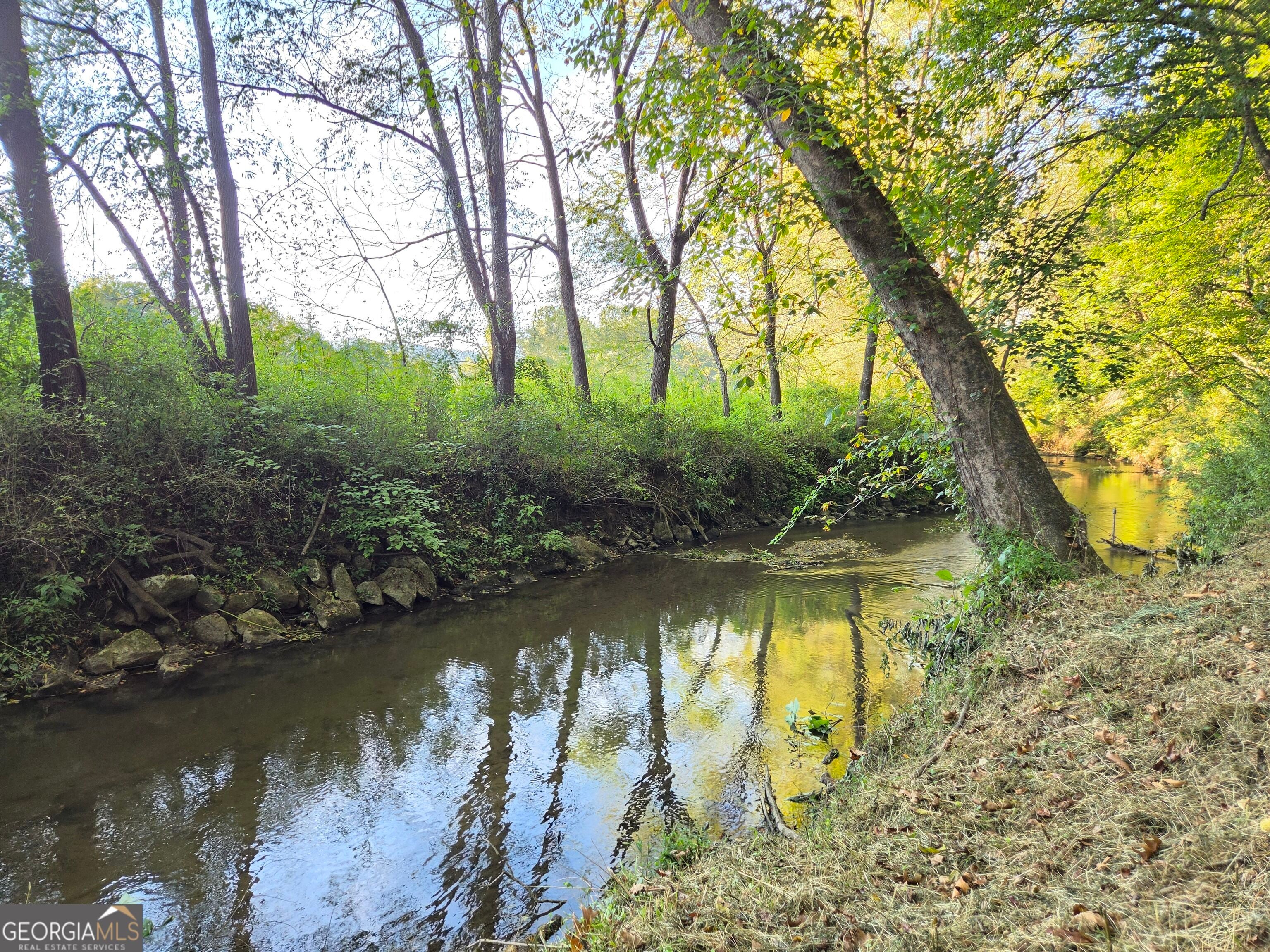 357 Little River LN