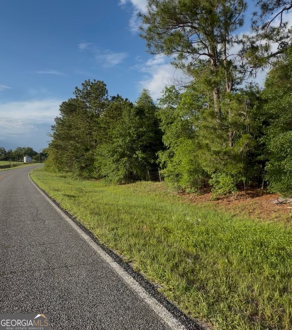 Photo of 0 Scotland Road, Alamo, GA 30411 (MLS # 10774557)