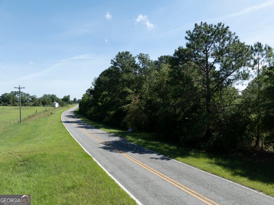0 SCOTLAND ROAD, ALAMO, GA 30411 - Image a597d663ddd3ca4a4832e20efa21ca09/3964249915