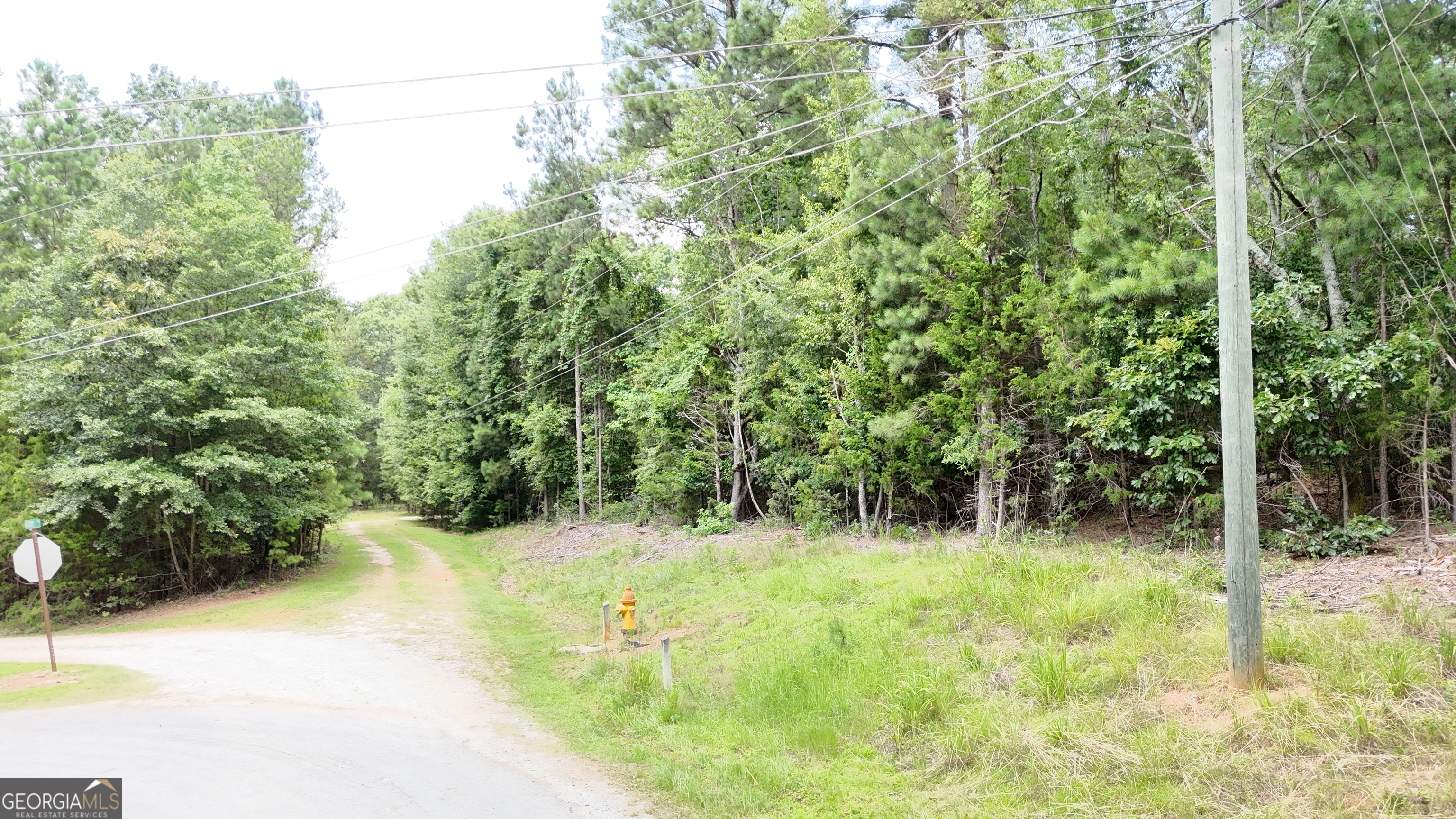 0 Piney Wood