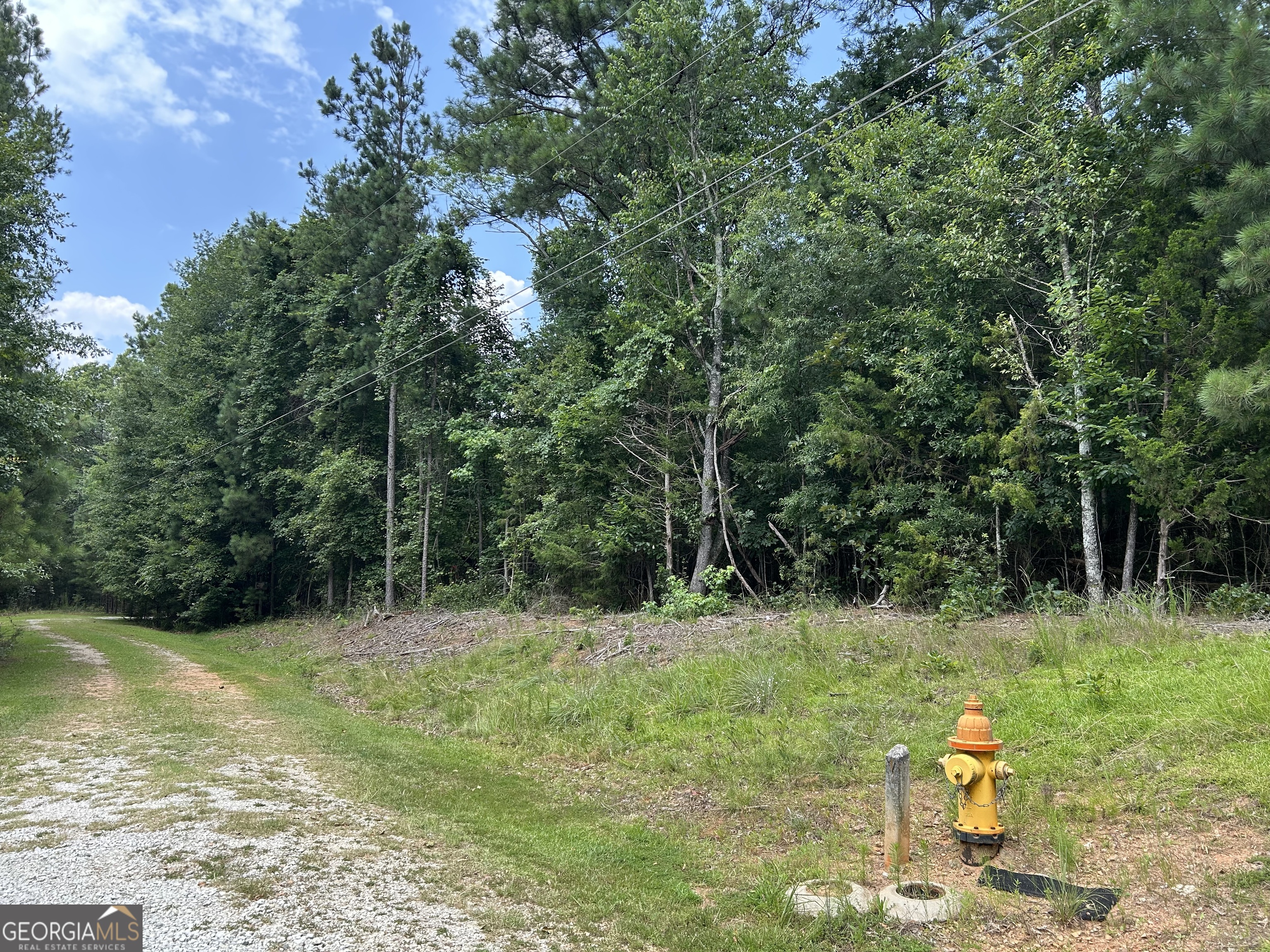 0 Piney Wood