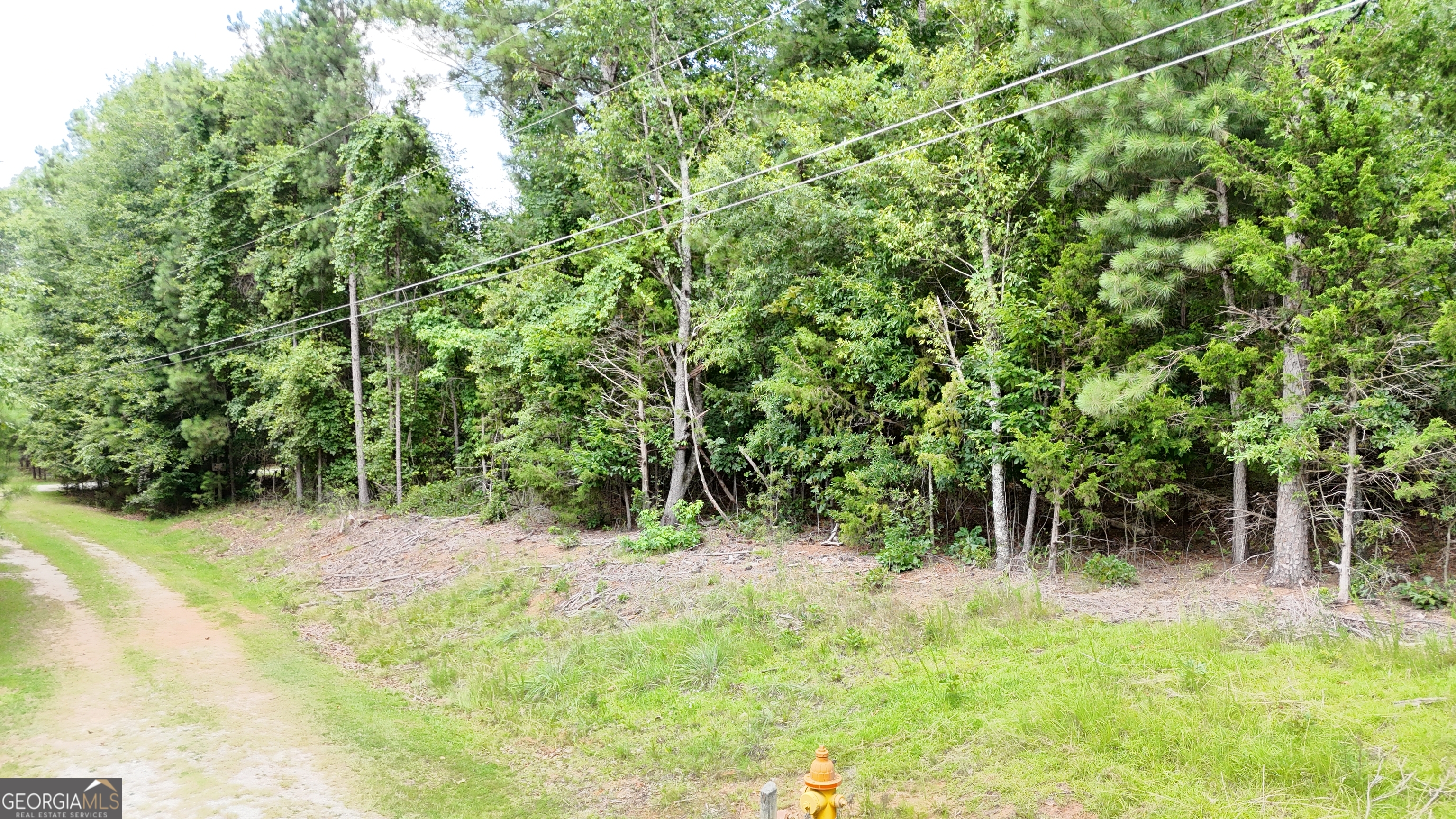 0 Piney Wood
