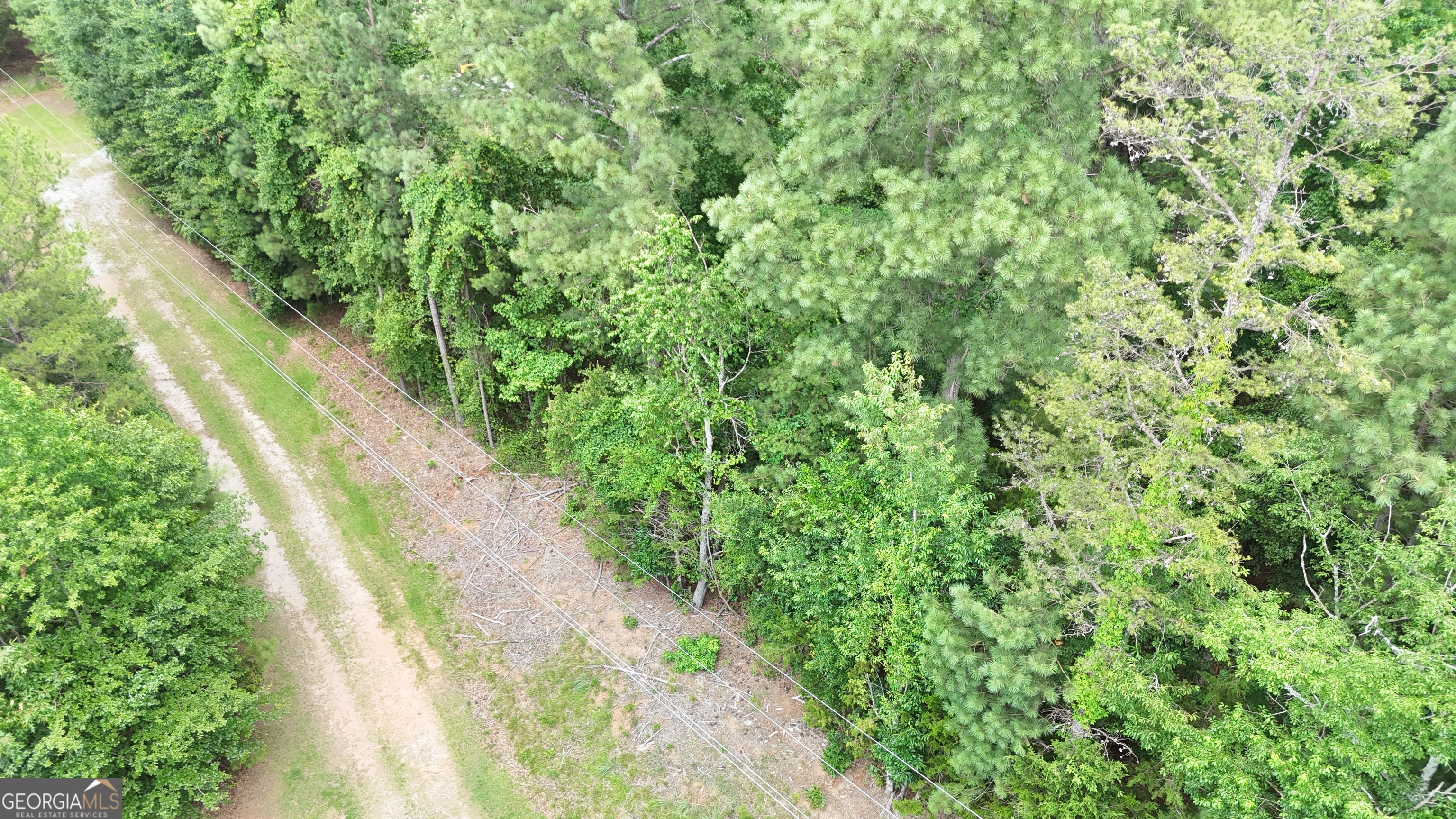 0 Piney Wood