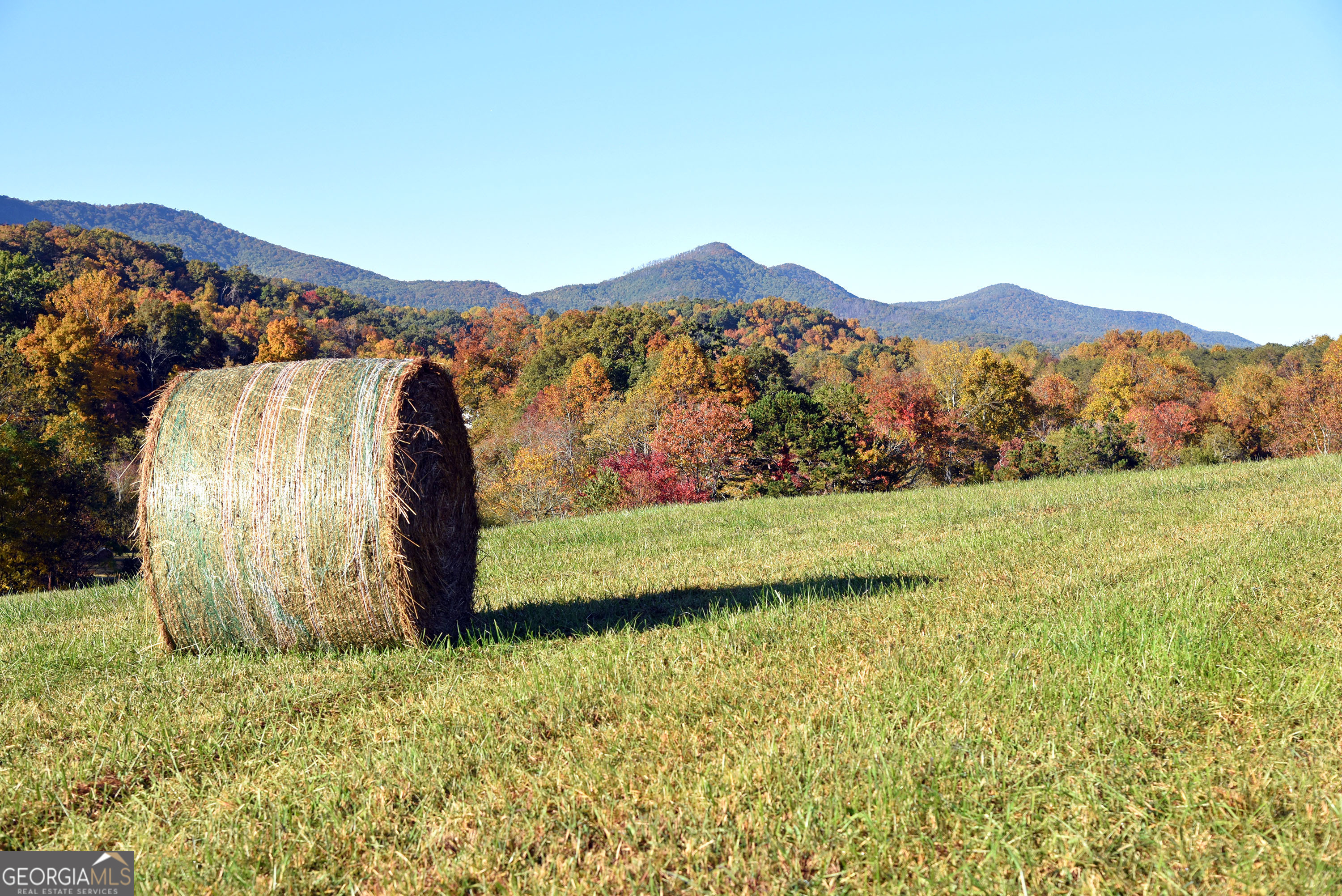 TRACT11B Great Escape PL