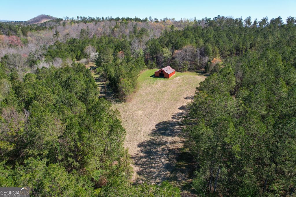 Photo of 65 +/- Acres on Half Mile Road, Lyerly, GA 30730 (MLS # 10721259)
